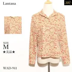 Item thumbnail for item 6d6634e5-a907-45f8-b90b-65a28386c459