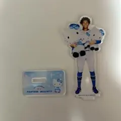 水谷瞬 北海道日本ハムファイターズ アクリルスタンド ハローキティ コラボ