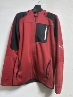 puma evo track