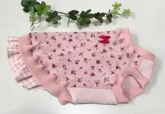 Item thumbnail for item 1308c91a-a02c-4192-a227-47562e0dcffe
