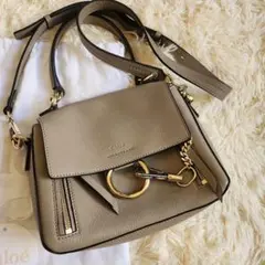 【2回着用❗美品】クロエ FAYE DAY MINI