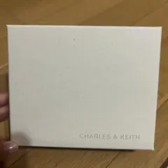 値下げ⭕️CHARLES & KEITH ホワイトボックス