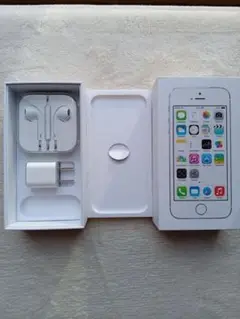 Apple EarPods & 充電器