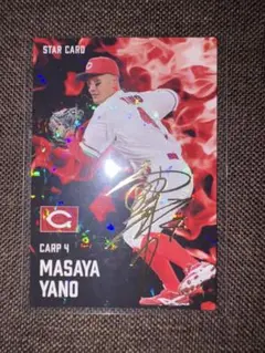 広島東洋カープ 矢野雅哉 STAR CARD