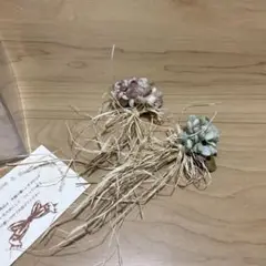 布花