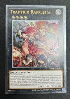 幻惑のラフレシア　アジア　レリーフ　美品 ☆旧アジア☆幻惑のラフレシア【レリーフ】{SOD-AE020