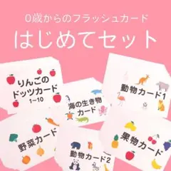 0歳からのフラッシュカード　単語カード　ものカード
