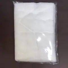 Item thumbnail for item 0d676435-1816-4f2a-bf63-dd87a987fd7f