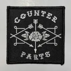 COUNTER PARTS カウンターパーツ カナダ メタルコア ピュア・ノイズ