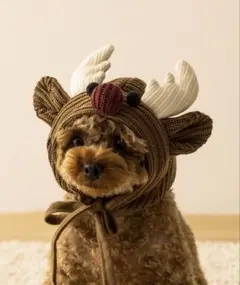 Item thumbnail for item 00667daa-1fe9-4ed6-8a3a-82dd182e8fb0