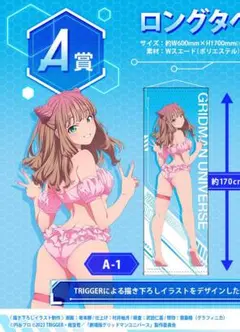 南夢芽 A賞 水着 ロングタペストリー 【新品】 南夢芽 ロングタペストリー 「どこプラ SSSS.DYNAZENON」 A-1賞