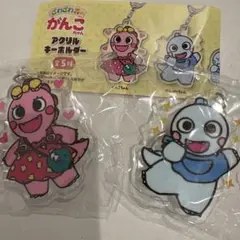 がんこちゃん&がんぺーちゃん　アクキーセット