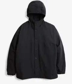 Item thumbnail for item 81e1e052-67f7-4c2a-bcfd-7ee8f025533c