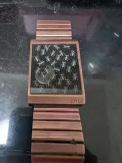 32匹のアリから時間を把握する腕時計「Ants Watch」