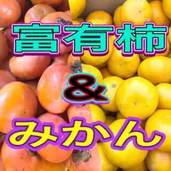 ☆感謝セール☆柿5kgみかん4kgセット ハネダシ
