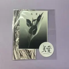 美愛 miae シール シズニルック