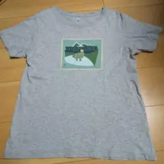 モンベル Tシャツ 160 オーガニックコットン100%