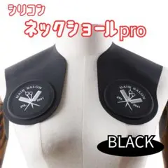 Item thumbnail for item c4ad923b-3a44-4ecf-93bf-1d820dff69d6