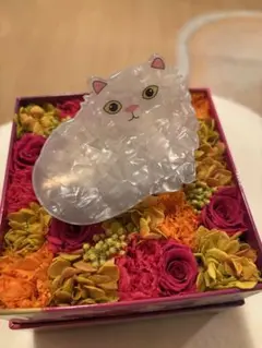 ふわふわネコちゃんヘアクロー