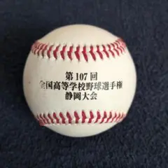 第107回　全国高校野球選手権　静岡大会　実使用球　甲子園