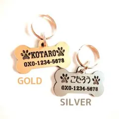 Item thumbnail for item d36bee3f-74a0-4c93-aea3-957396feabca