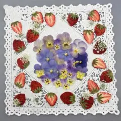 押しフルーツ♡No361♡いちごとビオラセット