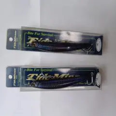 Tide Minnow SR SSR-LD 12cm 21g
