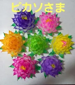 ピカソさま専用