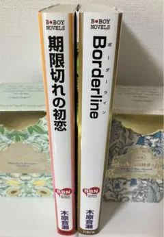 Be-Boy Novels 期限切れの初恋 & Borderline 木原音瀬