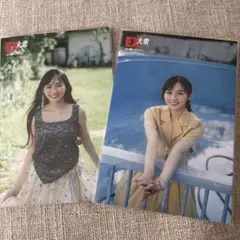 Item thumbnail for item d56bc42f-c16f-4210-97d8-ecf891476c33