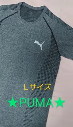 ※お値下【PUMA】Evoknit T-shirt☆機能性☆チャコールグレー☆Ｌ