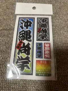 Item thumbnail for item cf30cc69-981c-439b-ad4f-903080e78062