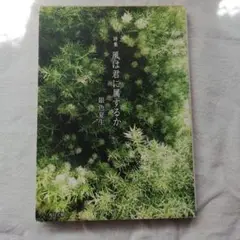風は君に属するか　銀色夏生