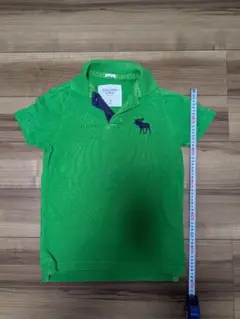 Abercrombie & Fitch マッスルフィットポロシャツ S グリーン
