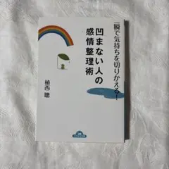 凹まない人の感情整理術　植西聰