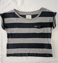 Hollister ストライプ クロップドTシャツ