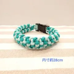 Item thumbnail for item 31c860a9-392c-40fb-914a-f35b081c4368