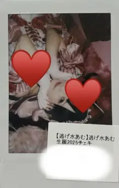 Item thumbnail for item 7d3d7889-bb50-4eab-8a09-a6b564856bd9