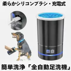 Item thumbnail for item 6fd662d2-f08a-4a2b-9478-69fcaf103d30
