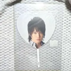 菊池風磨 ミニうちわ 2012 サマリー
