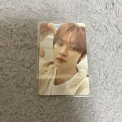 straykids リノ シーグリ 2024