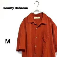 Item thumbnail for item 2a880cfc-9437-4bdc-a184-813f719a4ff7