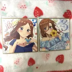 五等分の花嫁 映画 特典 ミニ色紙2点 中野三玖
