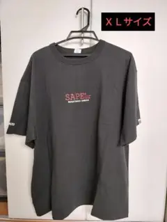 サプール SAPEur 浜ちゃん Tシャツ