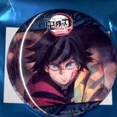 鬼滅の刃 冨岡義勇 水の呼吸ランダムアクションアニメーション 缶バッジ D