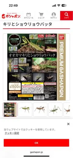 いきもの大図鑑　オオカマキリとショウリョウバッタ ショウリョウバッタ緑