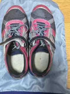 Mizuno フィールドジオAJ26.5センチ