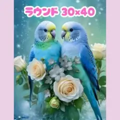 No.1237 ダイヤモンドアートキット ラウンド 鳥
