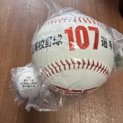 107選手 全国高等学校野球選手権大会記念ボール　大とレギュラー2個