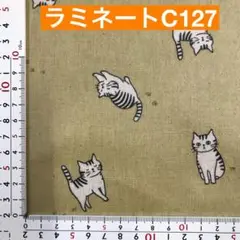 ラミネート　50センチ トラ猫